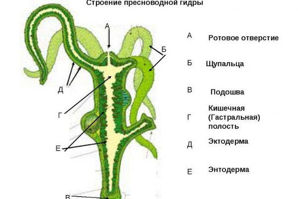 Кракен маркет что это