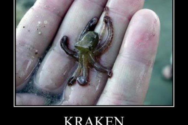 Kraken зеркало